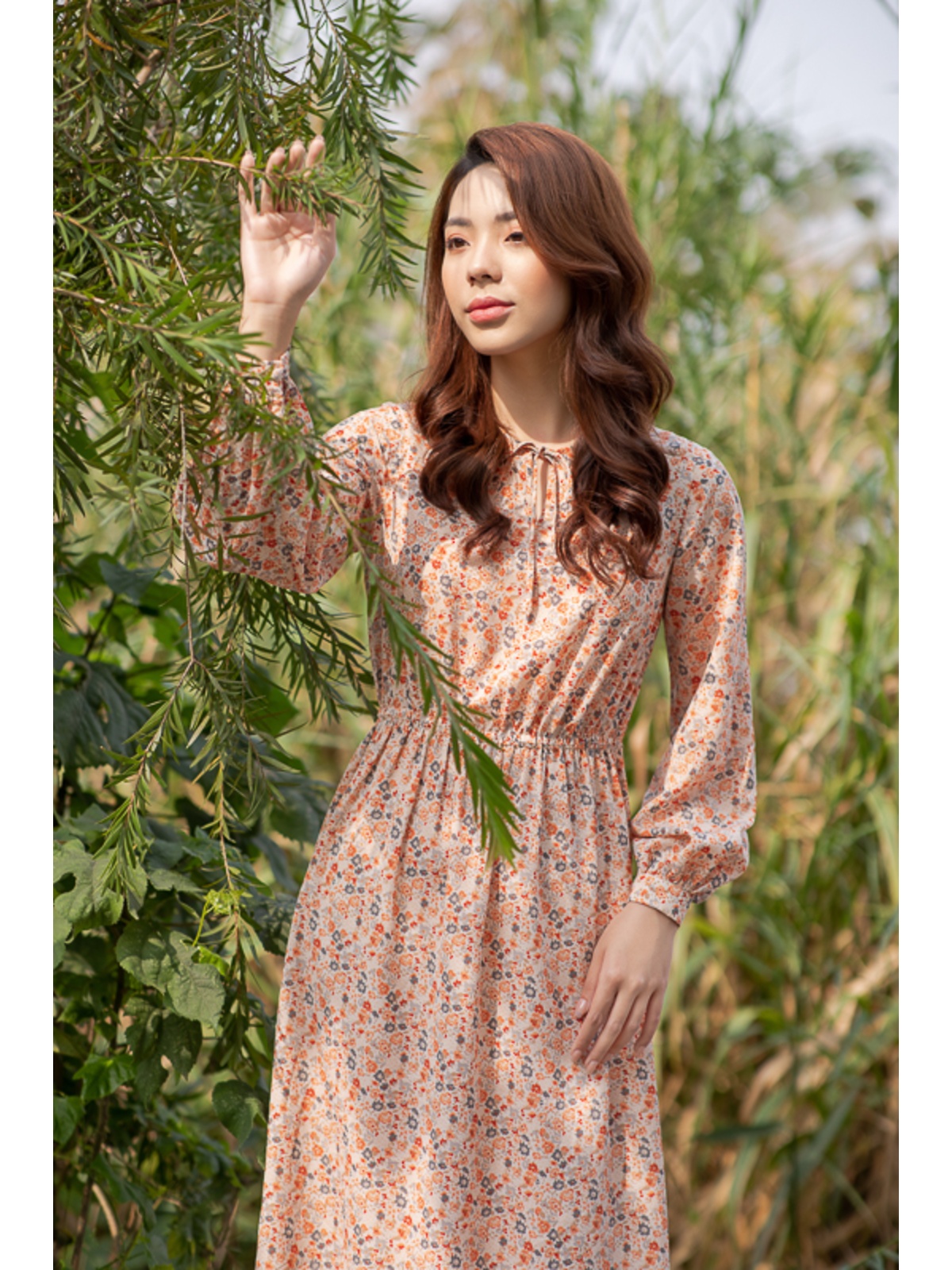 Đầm chấm bị nâu