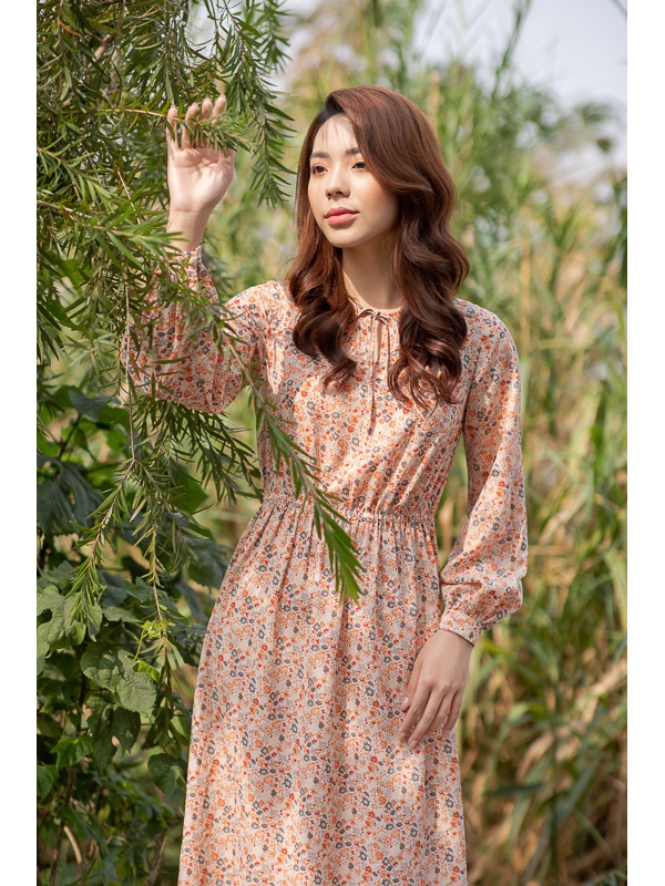 Đầm chấm bị nâu